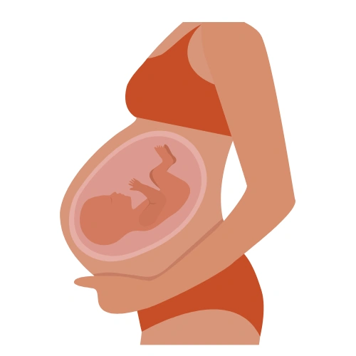 Gynaecological disorders Conferences